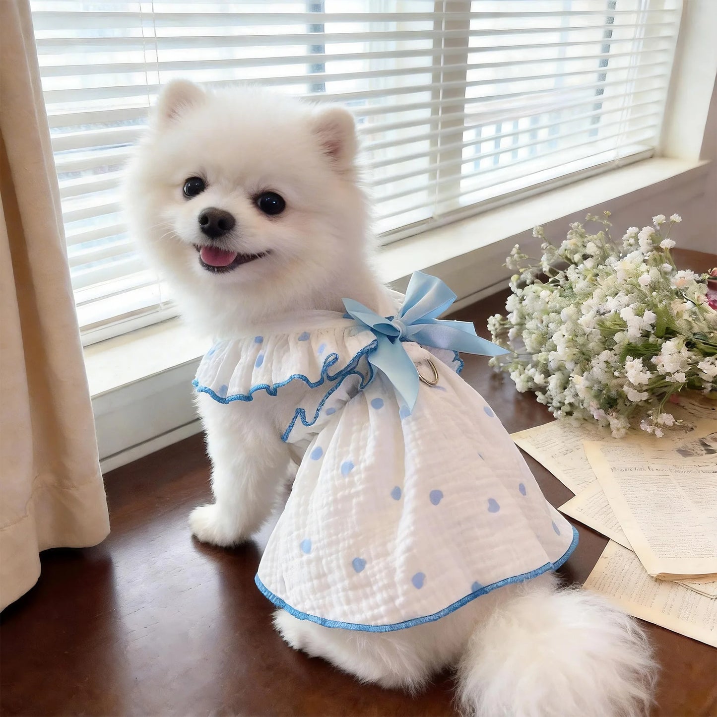 The Ruffle Ribbon