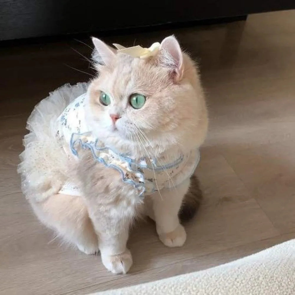 Sparkle Rosie