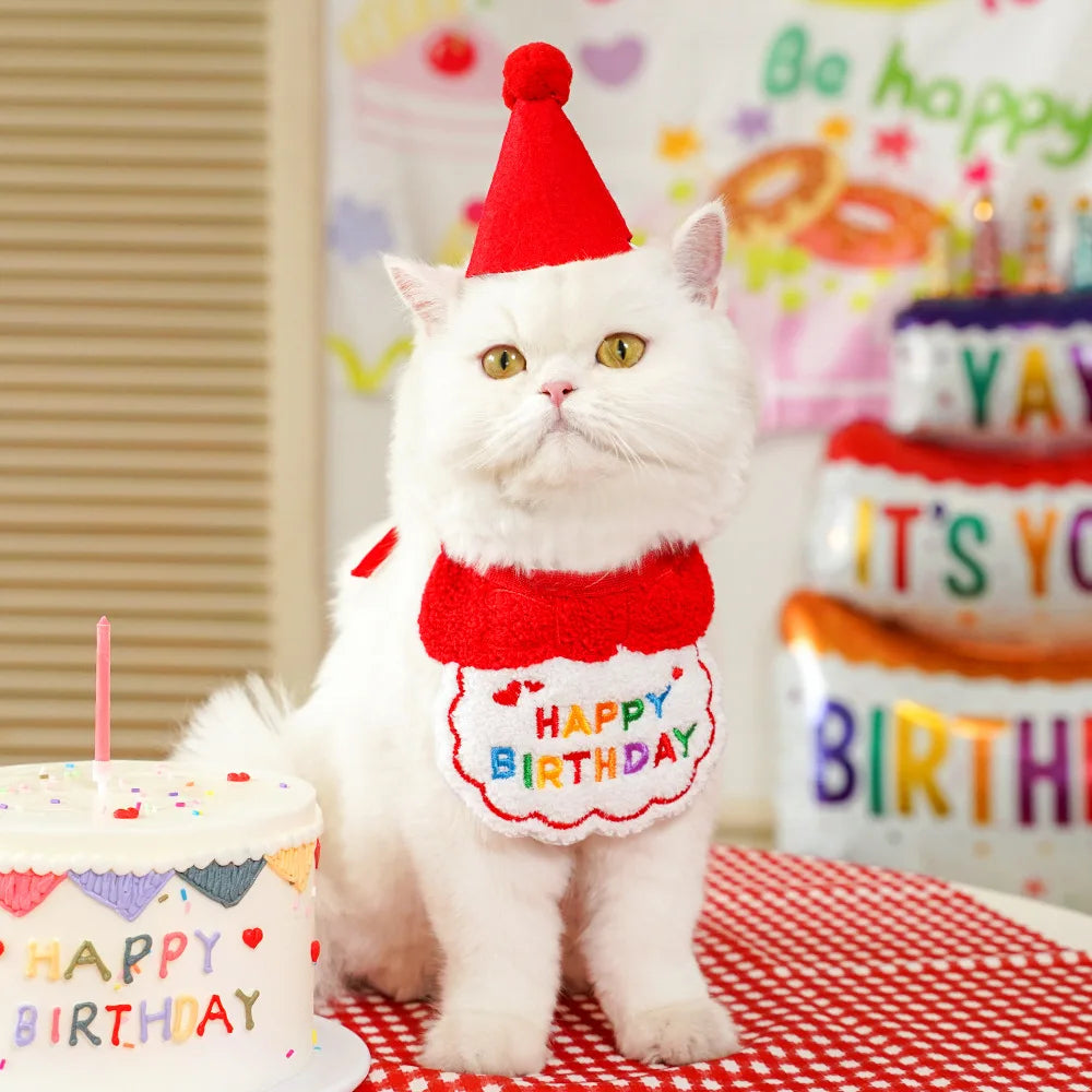 Birthday Bib and Hat Set