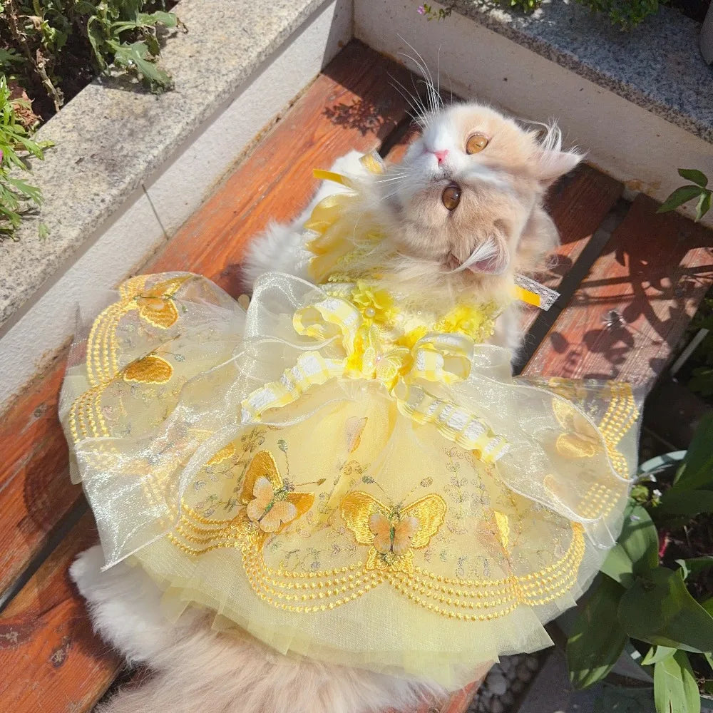 Enchanted Belle