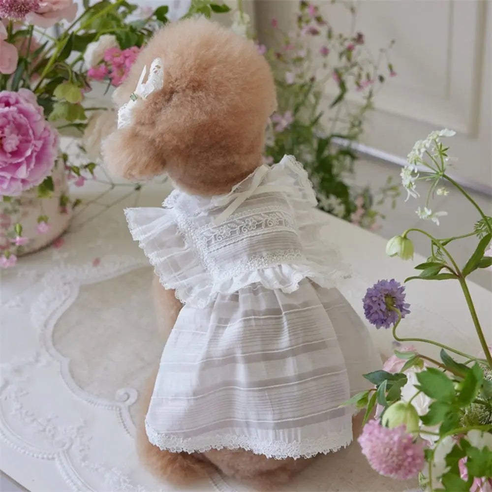 The Cottage Collection - Samatha, Roxanne & Grace