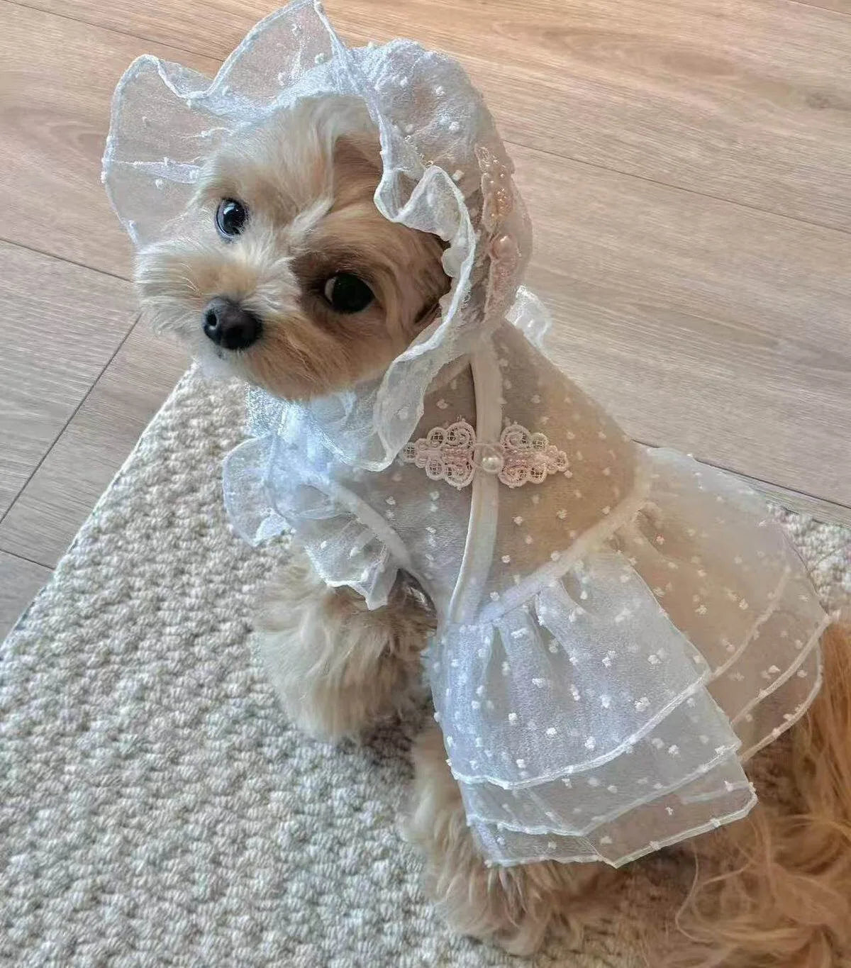 Lily Dress