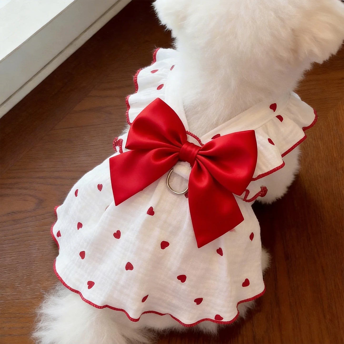 The Ruffle Ribbon