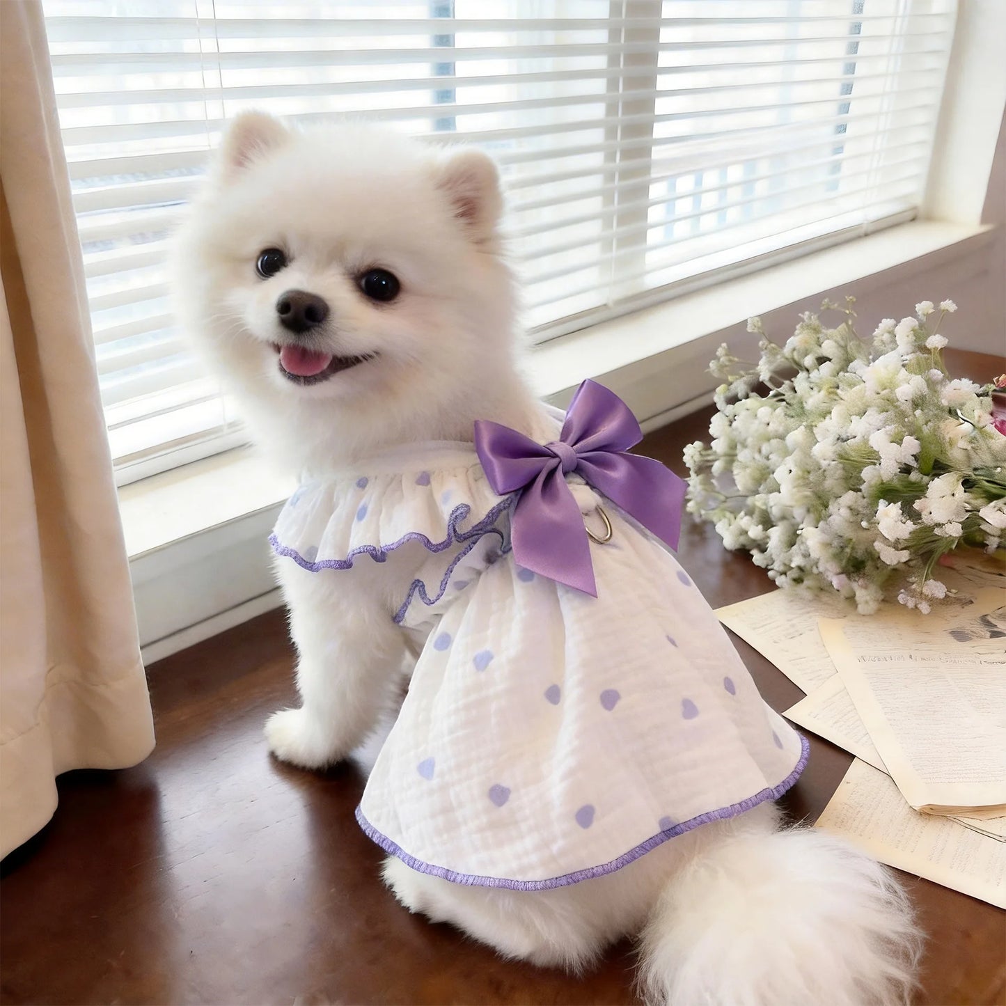 The Ruffle Ribbon