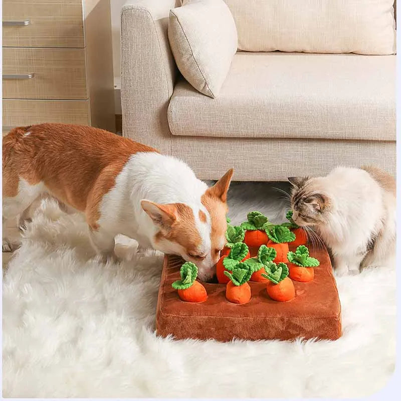 Carrot Hunter - Pull Radish Plush Toy