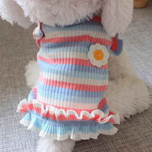Summer Sweetie