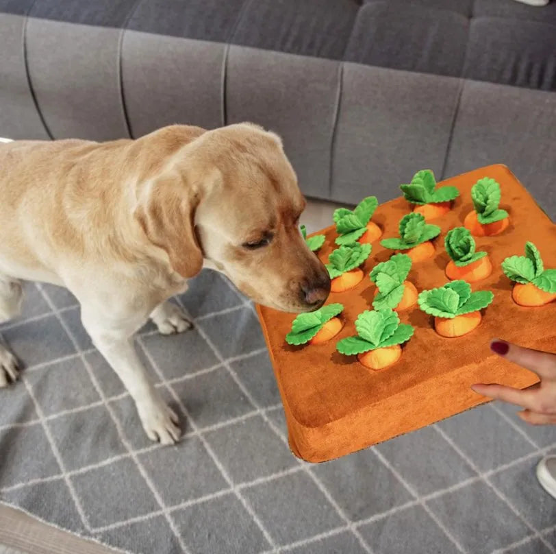 Carrot Hunter - Pull Radish Plush Toy