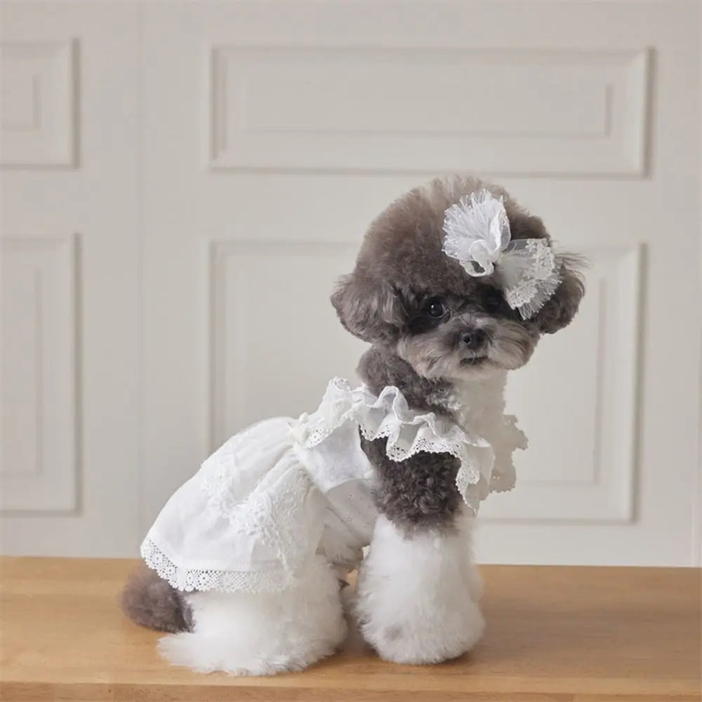 The Cottage Collection - Samatha, Roxanne & Grace