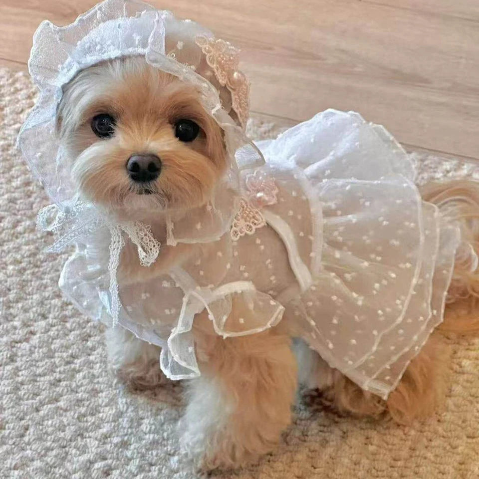 Lily Dress