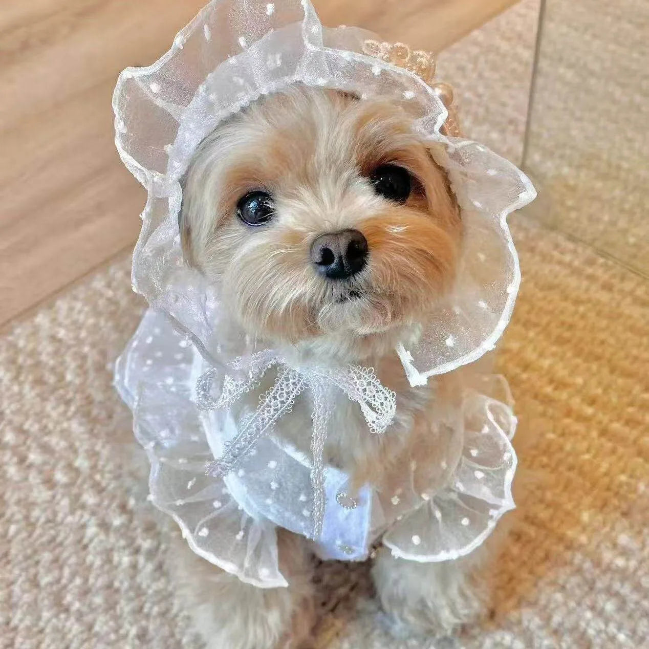 Lily Dress