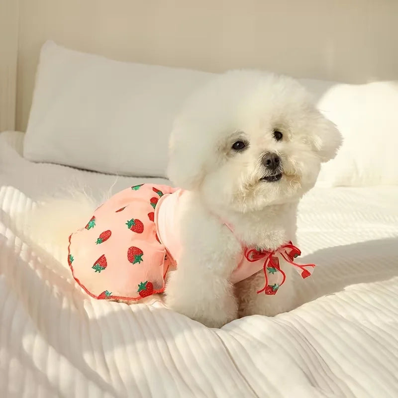 Spring Sweetie