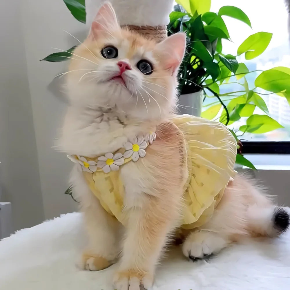 The Daisy Dress