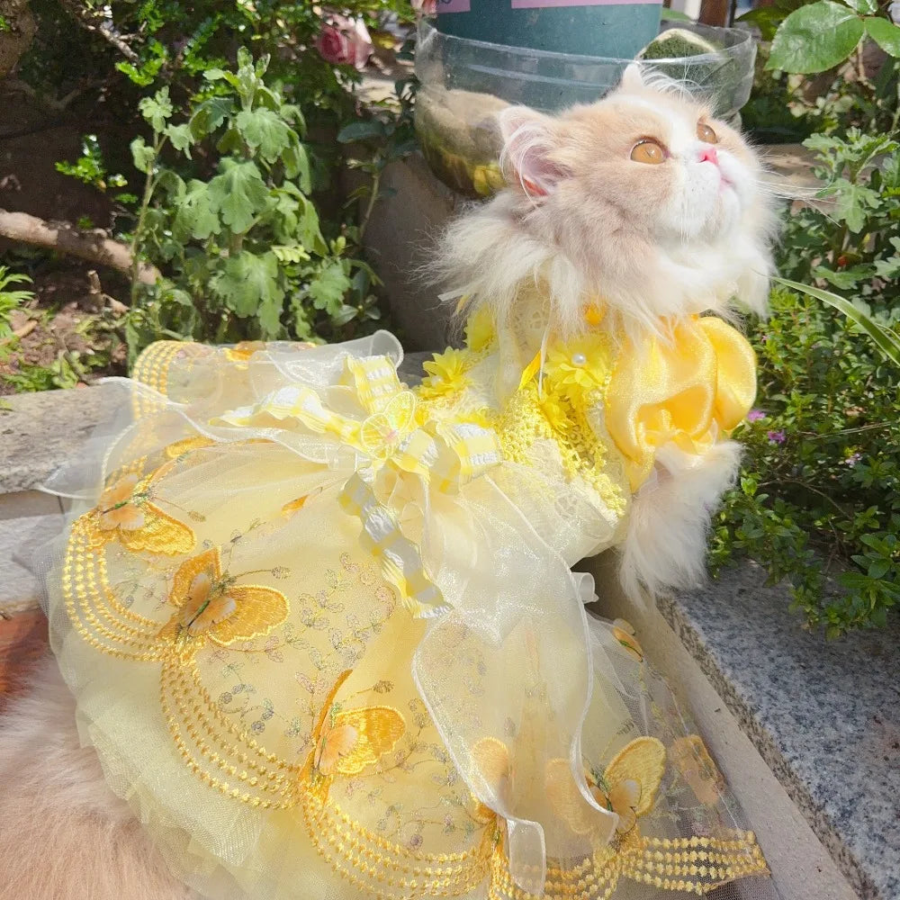 Enchanted Belle