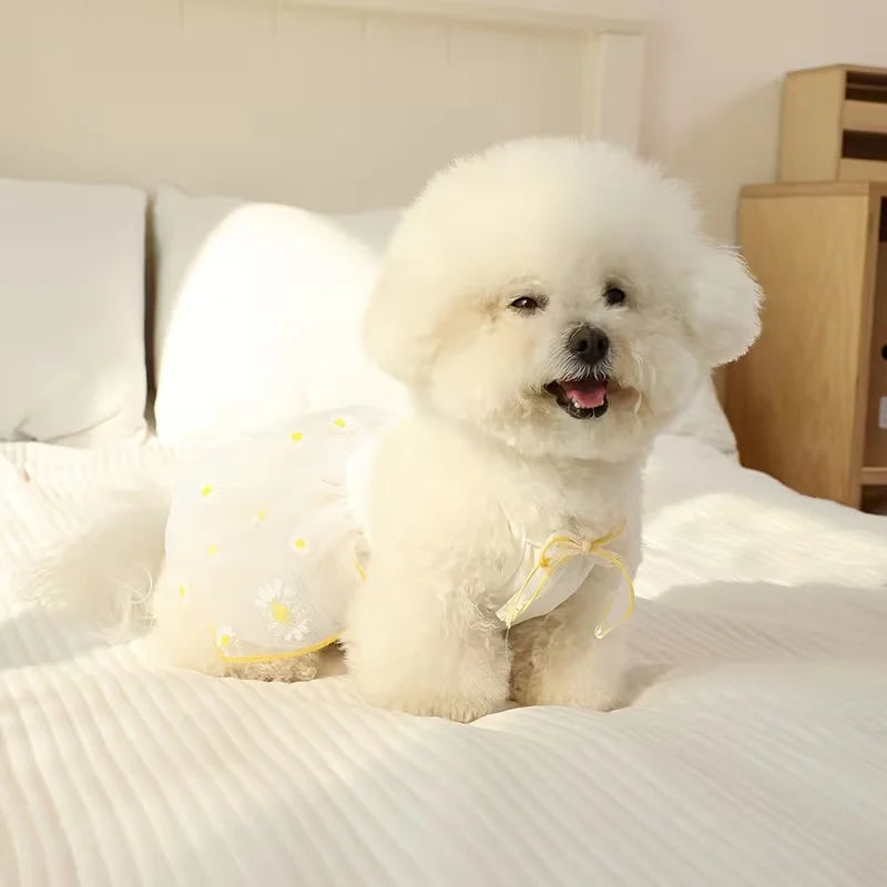 Spring Sweetie