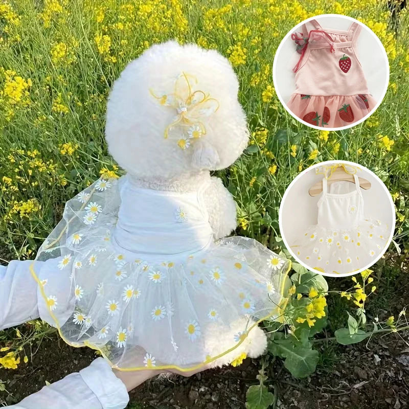 Spring Sweetie