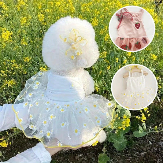 Spring Sweetie