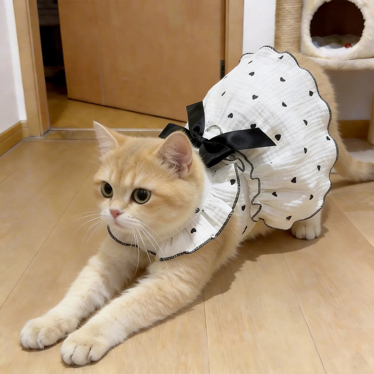 The Ruffle Ribbon