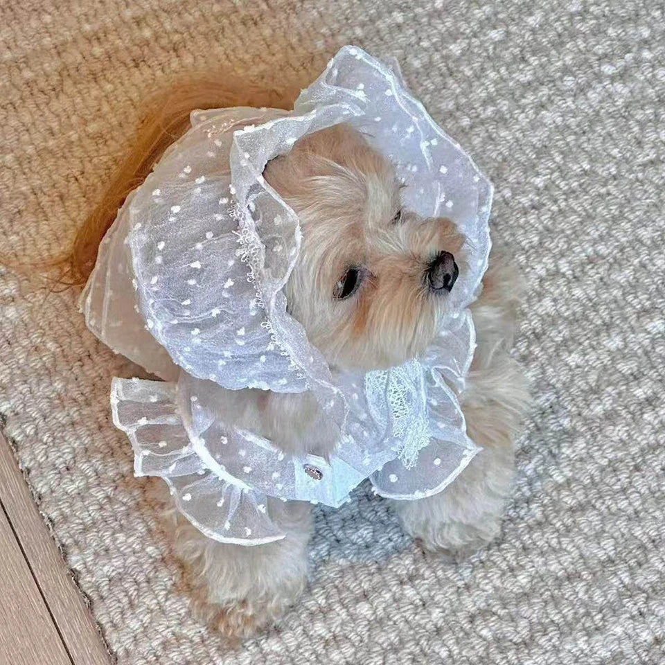 Lily Dress