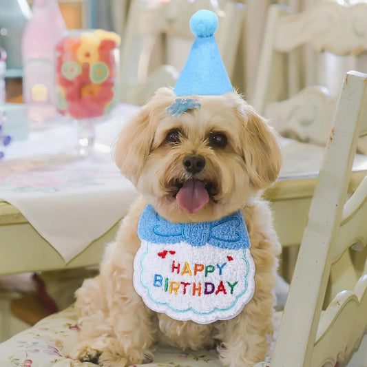 Birthday Bib and Hat Set