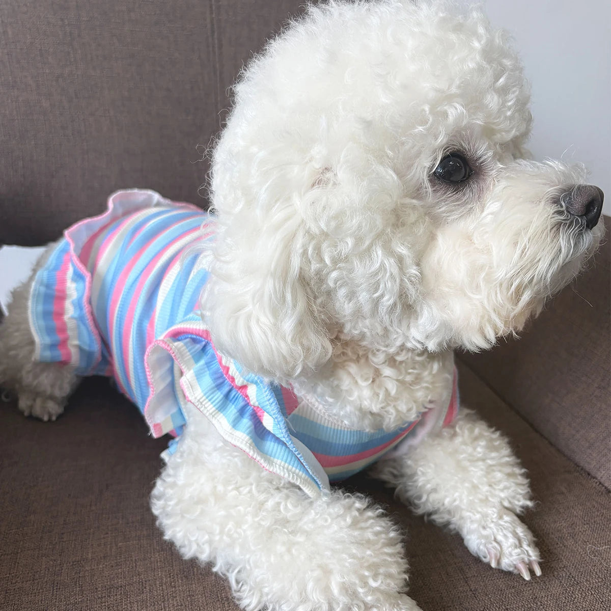 Summer Sweetie