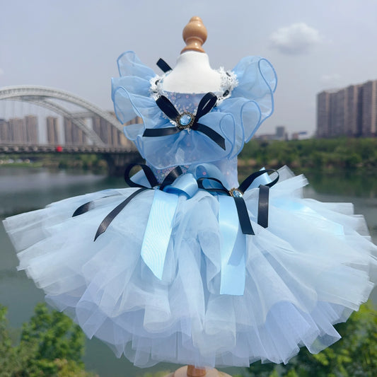 Meet Cinderella