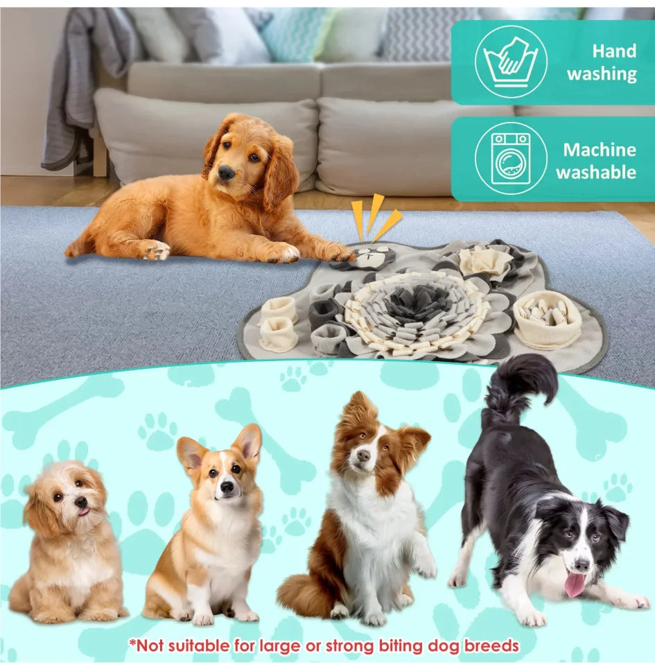 Snacks Hiding Mat