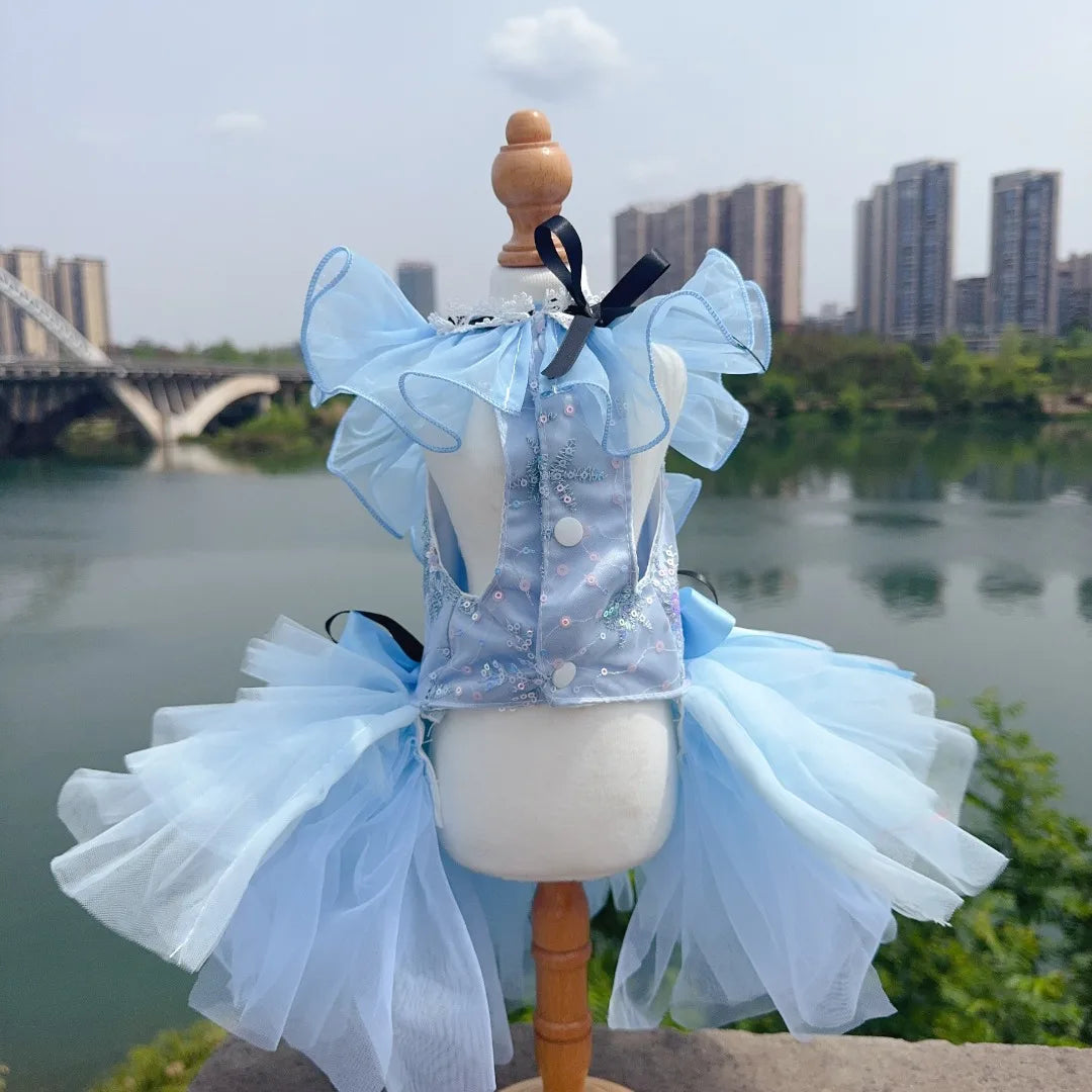 Meet Cinderella