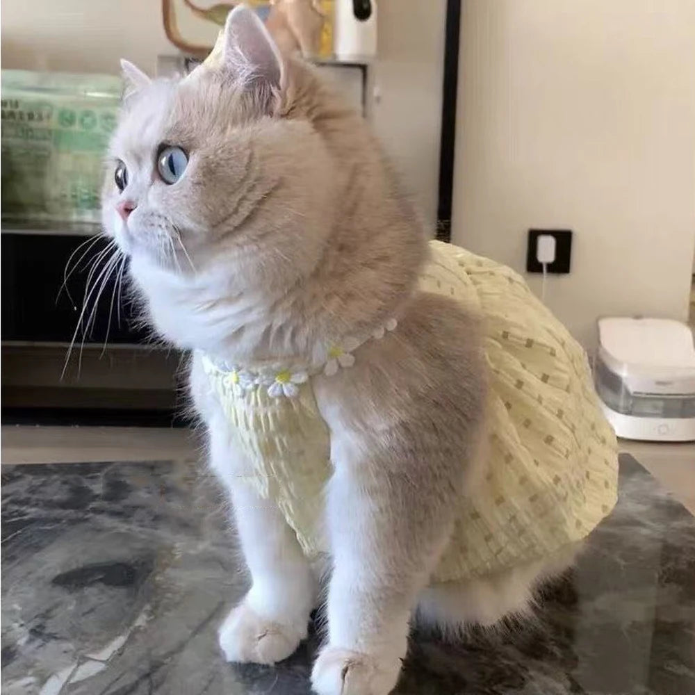 The Daisy Dress