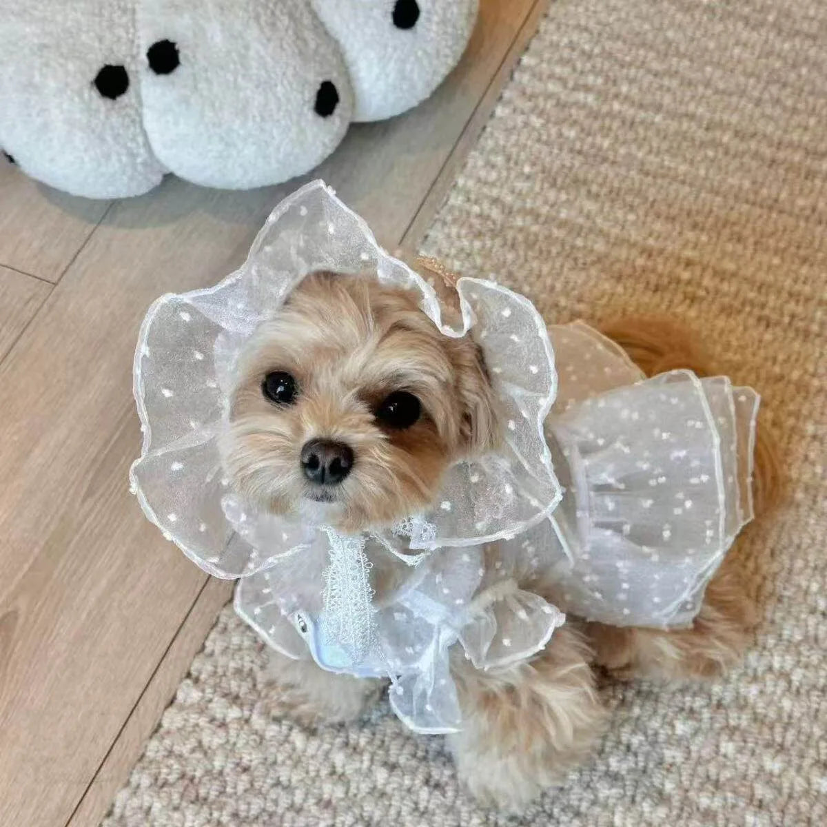 Lily Dress