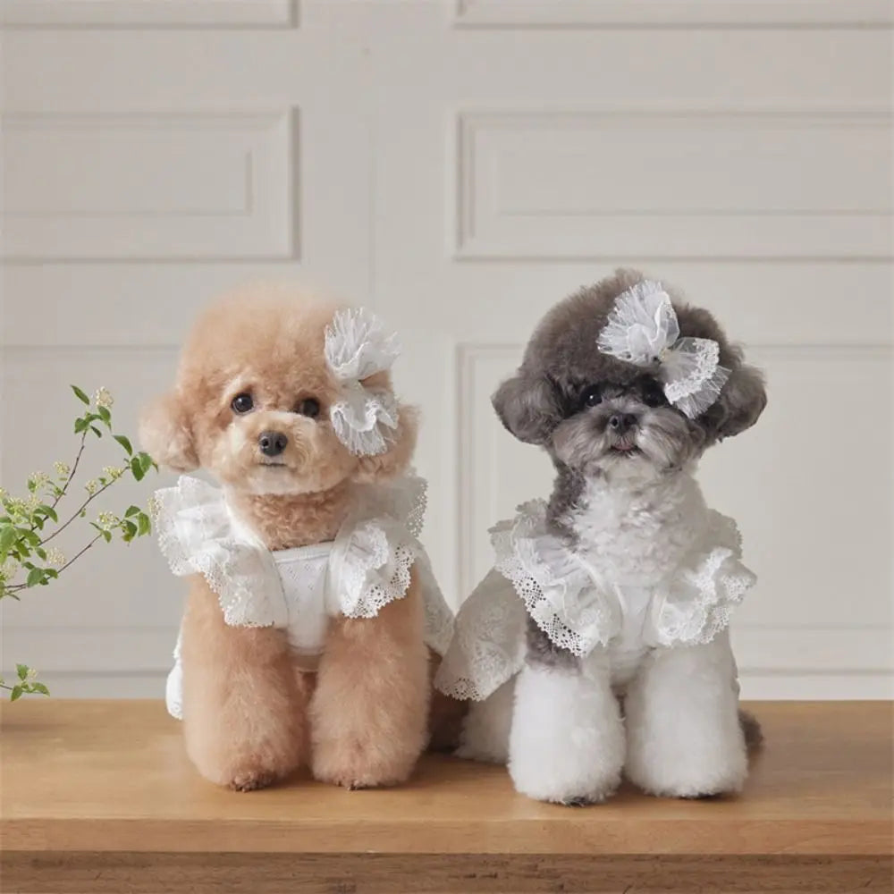 The Cottage Collection - Samatha, Roxanne & Grace