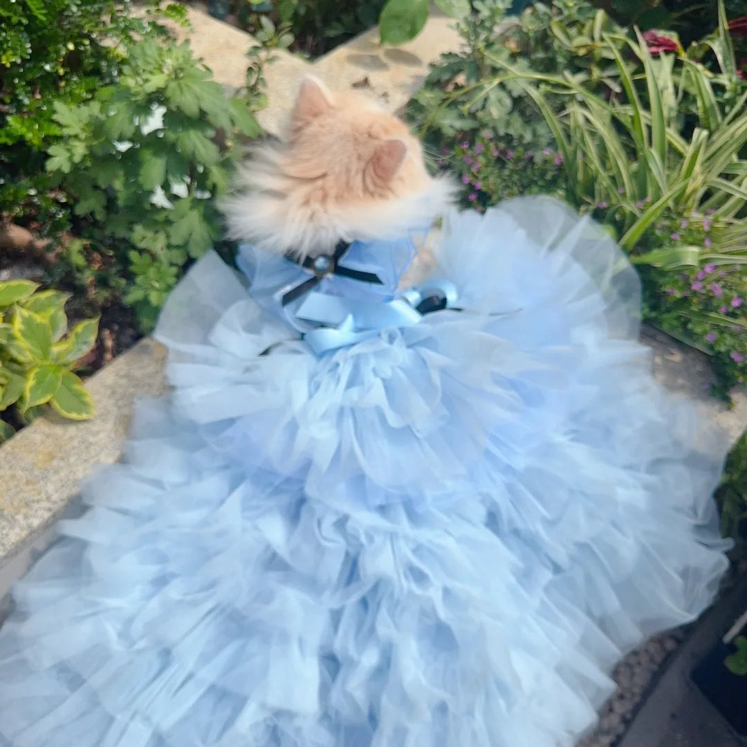 Meet Cinderella