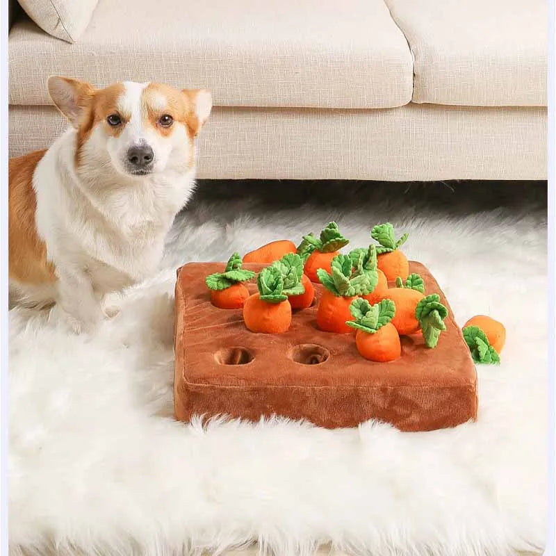 Carrot Hunter - Pull Radish Plush Toy