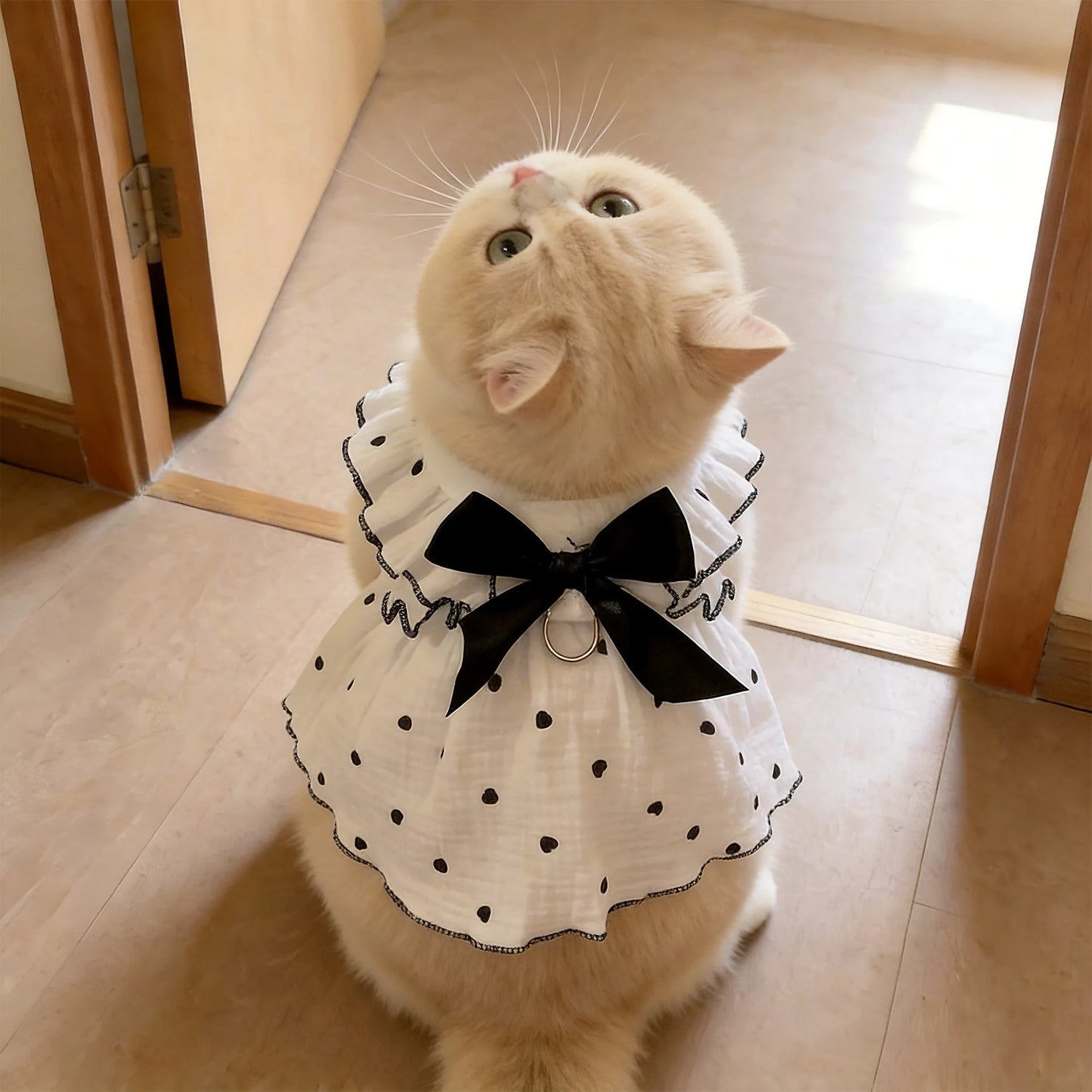 The Ruffle Ribbon