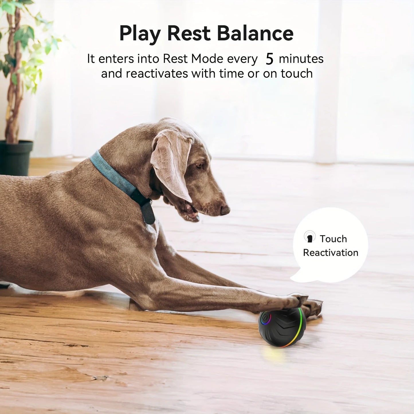 Interactive Accompany Ball