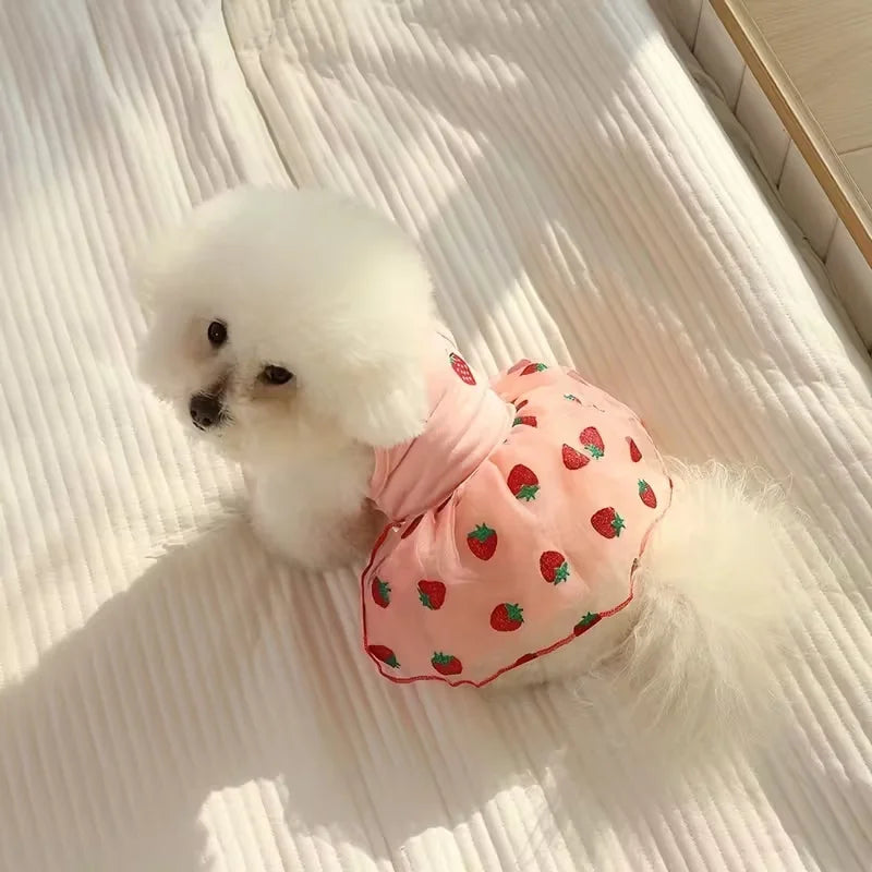 Spring Sweetie