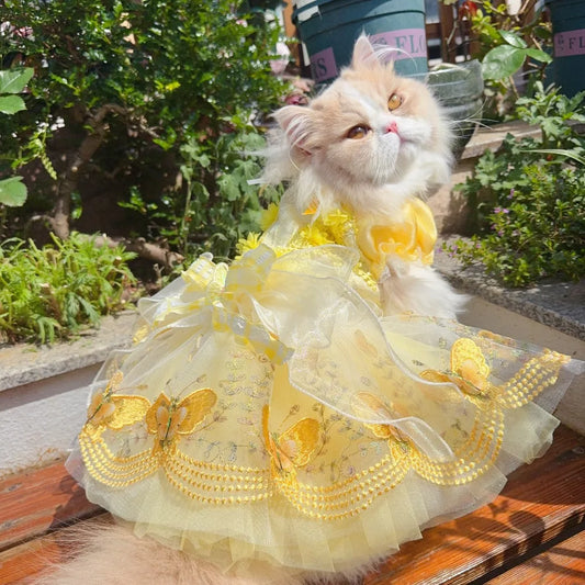 Enchanted Belle