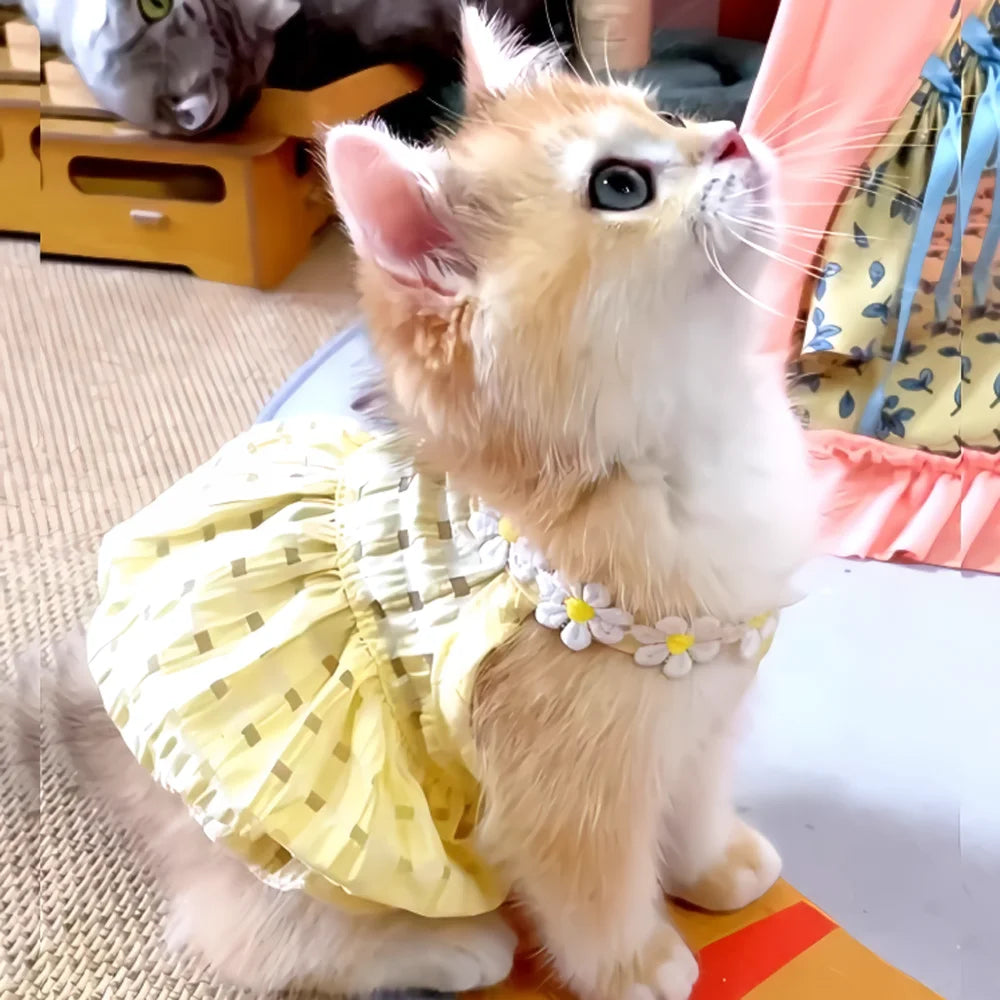 The Daisy Dress